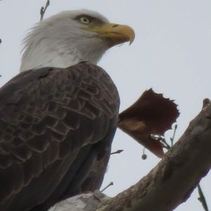 Meet your Posher, Wes